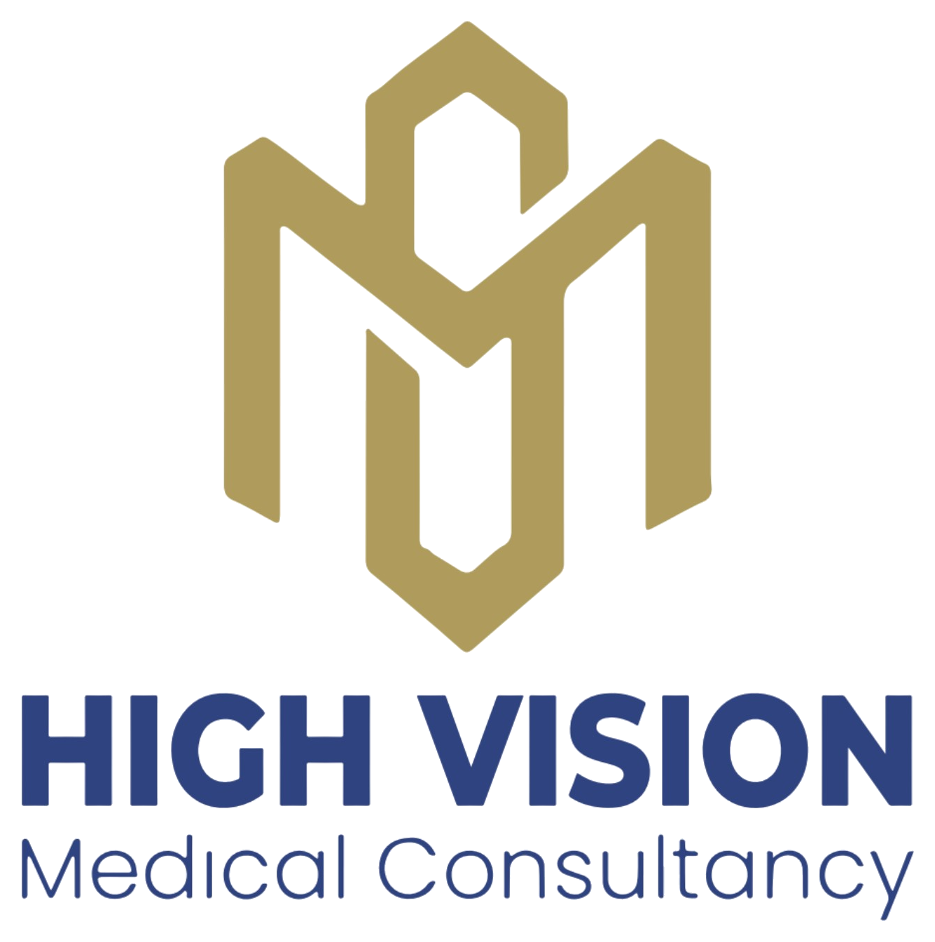 High Vision Medical Consultancy Logo
